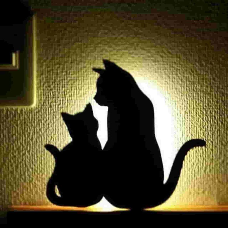 چراغ خواب گربه ها