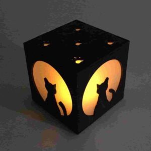 چراغ خواب گربه شب