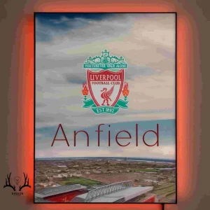 تابلو بک لایت آنفیلد